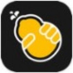 红杏直播apk免费下载