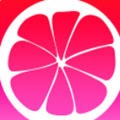桃花直播app下载大全