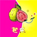 媚娘直播最新版